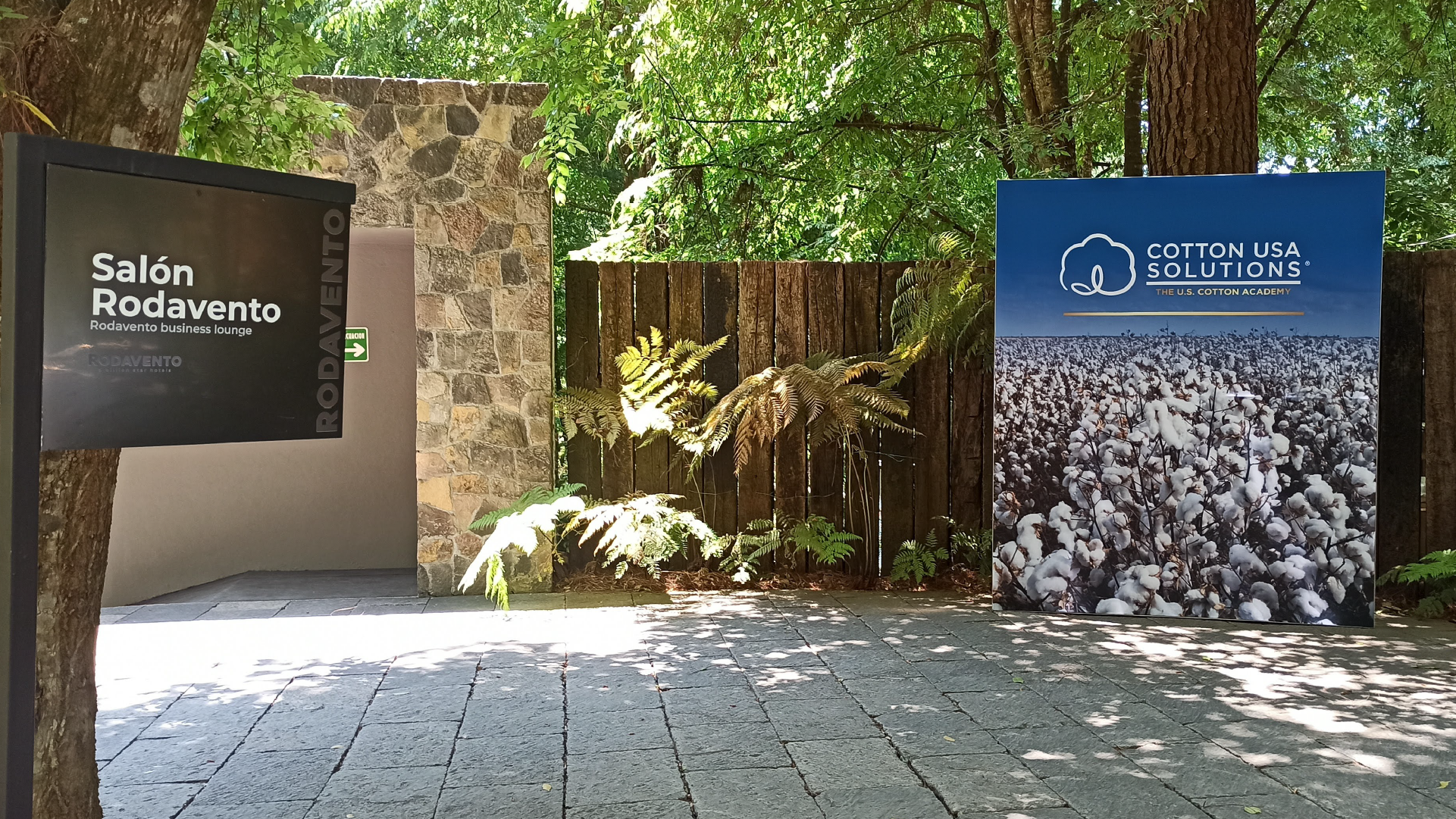 Cotton Evento mexico 4