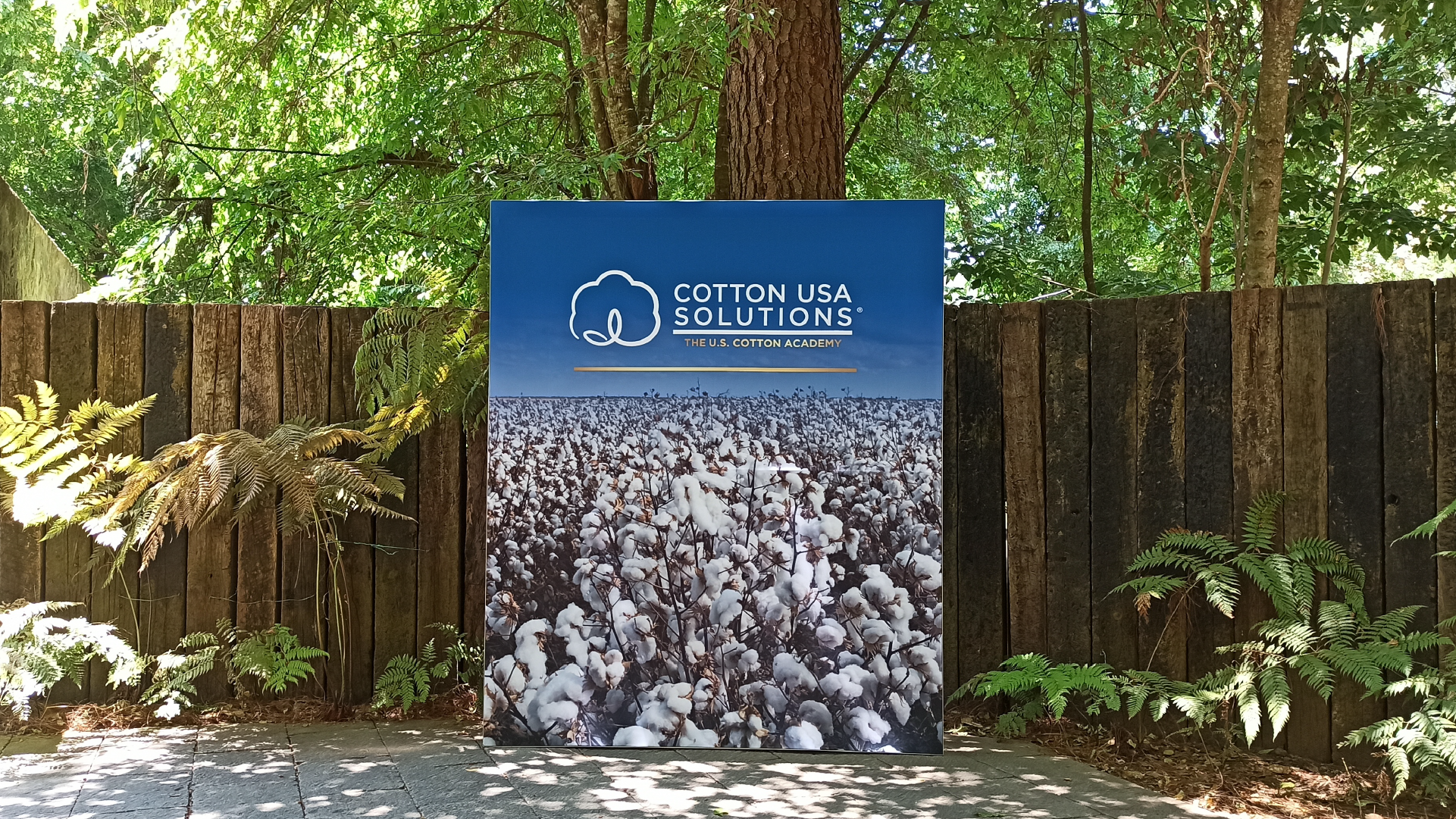 Cotton Evento mexico 5