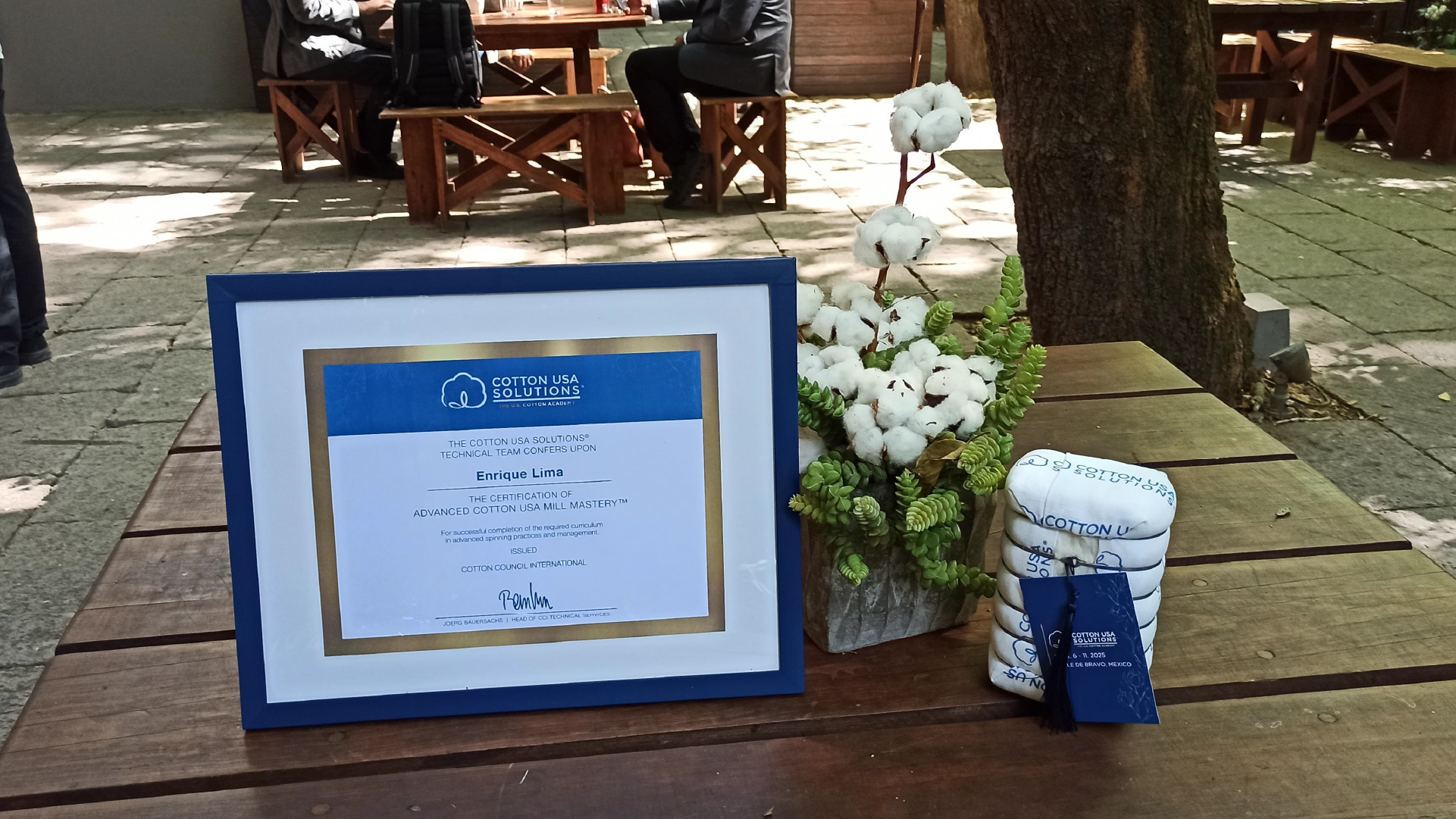 Cotton Evento mexico 6