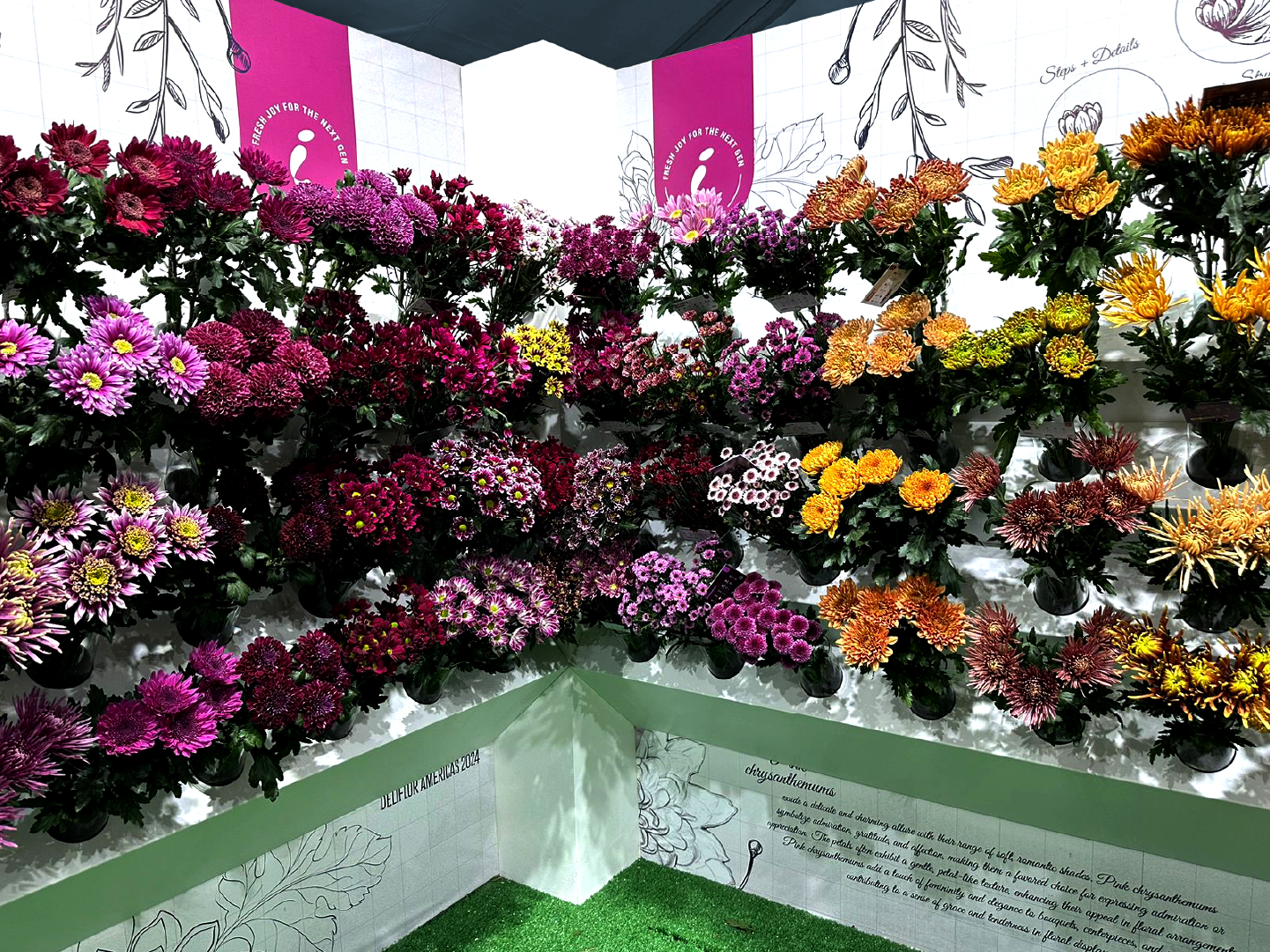 Deliflor DeliShow 2024 4