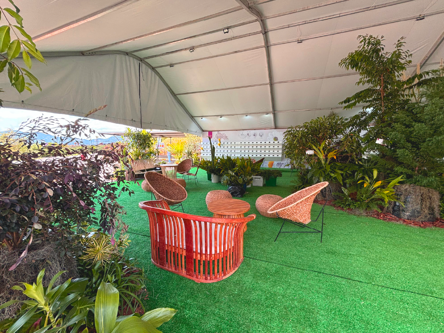 Deliflor DeliShow 2024 5