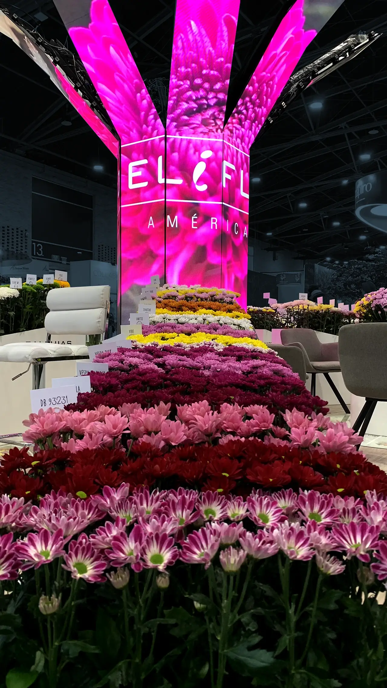 deliflor proflora 2023 005